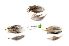 20 Hahnenfedern Dachs 10-15cm Vogelfedern Schmuckfedern Federn Hahn Bastelfedern