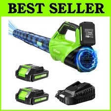 Portable Cordless Blower with 2 Batteries