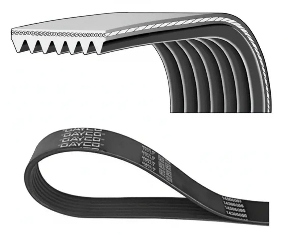 Dayco Cinghia Poly-V 7Pk1165s - Immagine 2