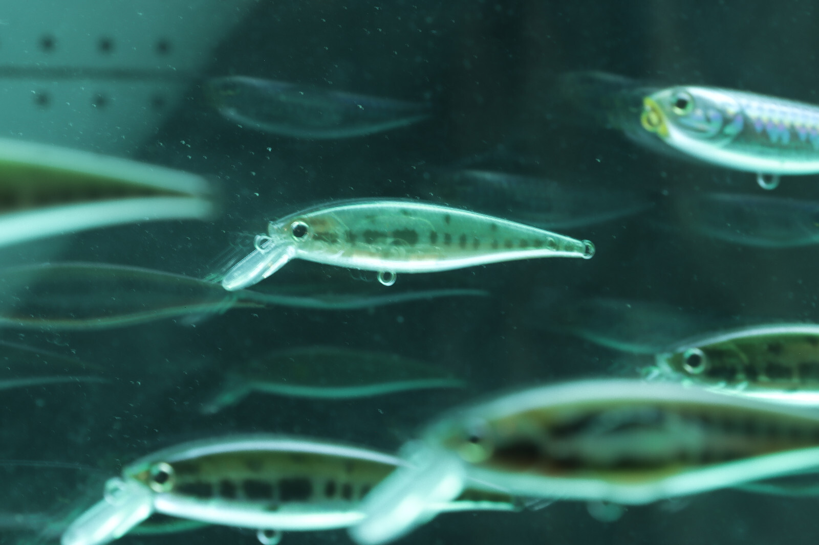 Lucky Craft Bass Fishing Lure Bait Display Only 1 of 2 Made, From