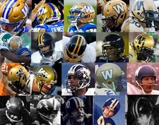 WINNIPEG BLUE BOMBERS CFL FOOTBALL MINI HELMET 20+ STYLES TO CHOOSE FROM