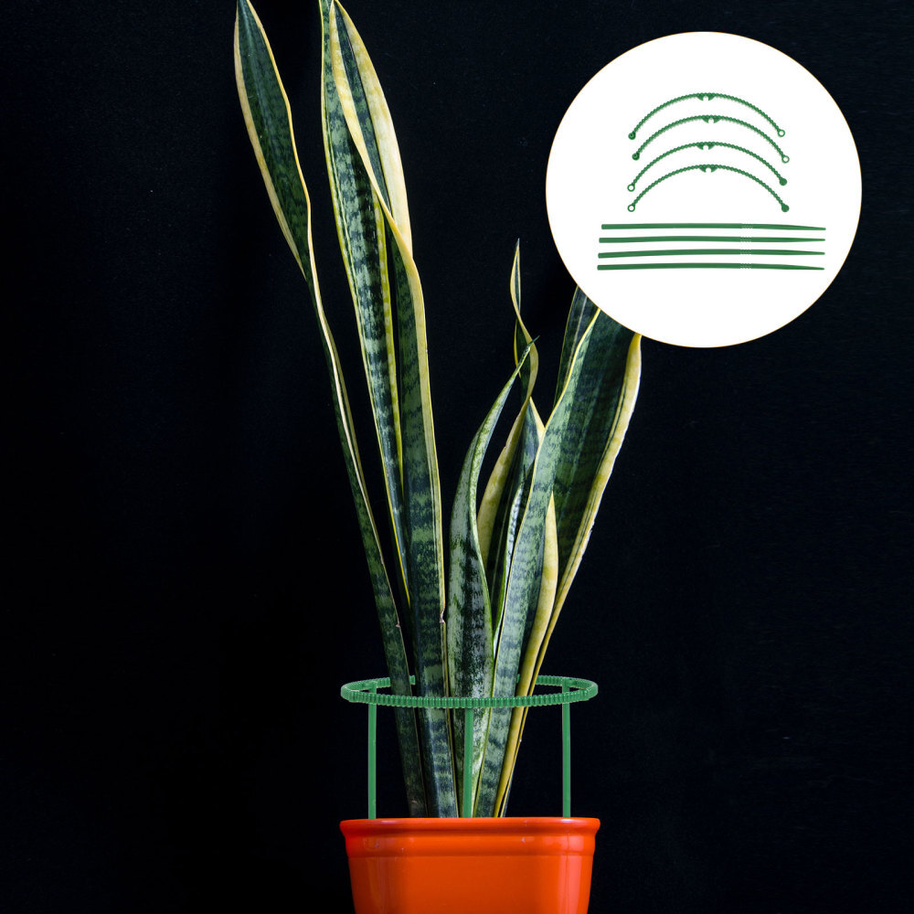 16-Pack Climbing Plant Support for Crab Claw Orchids & Air Plants