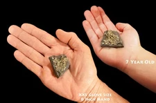 PYRITE On SHUNGITE 2" 1-2 Oz Rock Mineral Specimen Root Chakra Healing Crystal