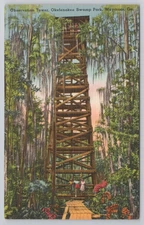 Vintage Okefenokee Swamp Park Waycross GA Postcard Linen Era Unposted Georgia