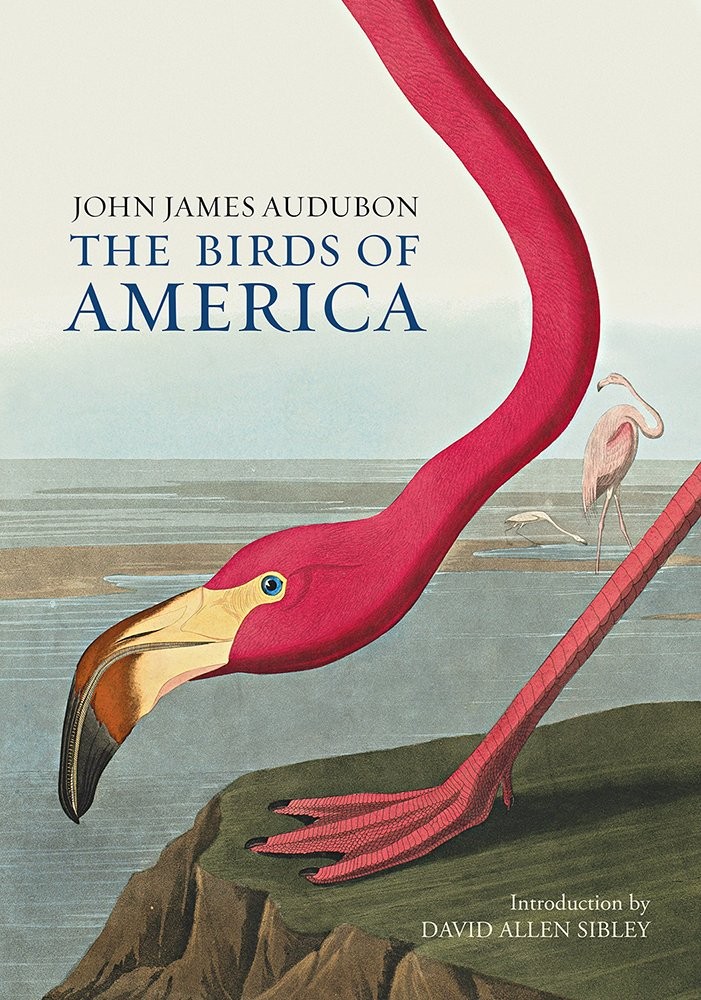 The Birds of America by John James Audubon (Hardback Book) - Image 4