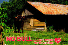 Postcard No Bull Ya'll Would Love North Carolina Thinking of You Humor Funny L4
