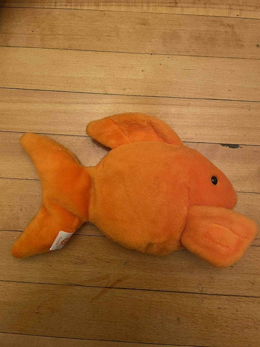 Luke Goldies Tank Size For A Goldfish Tank Size For A Goldfish