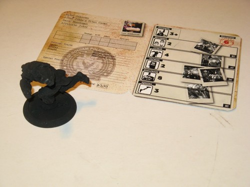 cs_brook - Picture 2 of 2