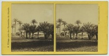 Stéréo 1860-70 W. Hammerschmidt. Egypte. N° 8. Village près Pyramides de Ghyzéh.