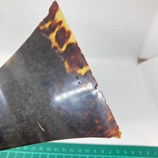 010919 Tortoise Shell Drumstick Shamisen