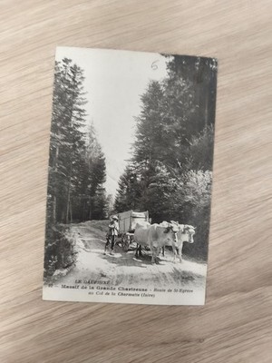 Alte AK Le Dauphiné Chartreuse Kühe Wagen Wald Isère