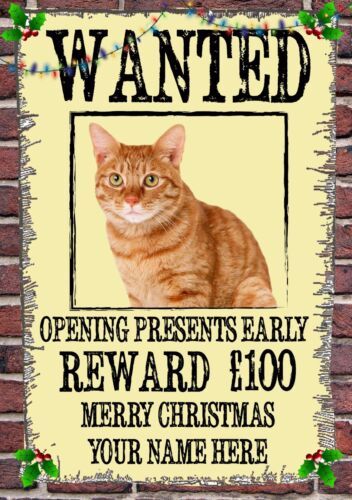 Ginger Cat Christmas Wanted Card Xmas A5 Personalised Greeting Cards CHW30 - Afbeelding 1 van 1