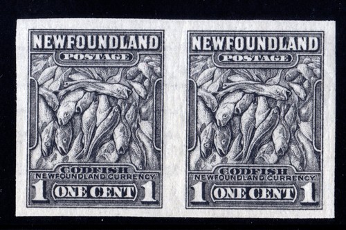 #253a 20.4mm pair Newfoundland Canada mint never hinged well centered