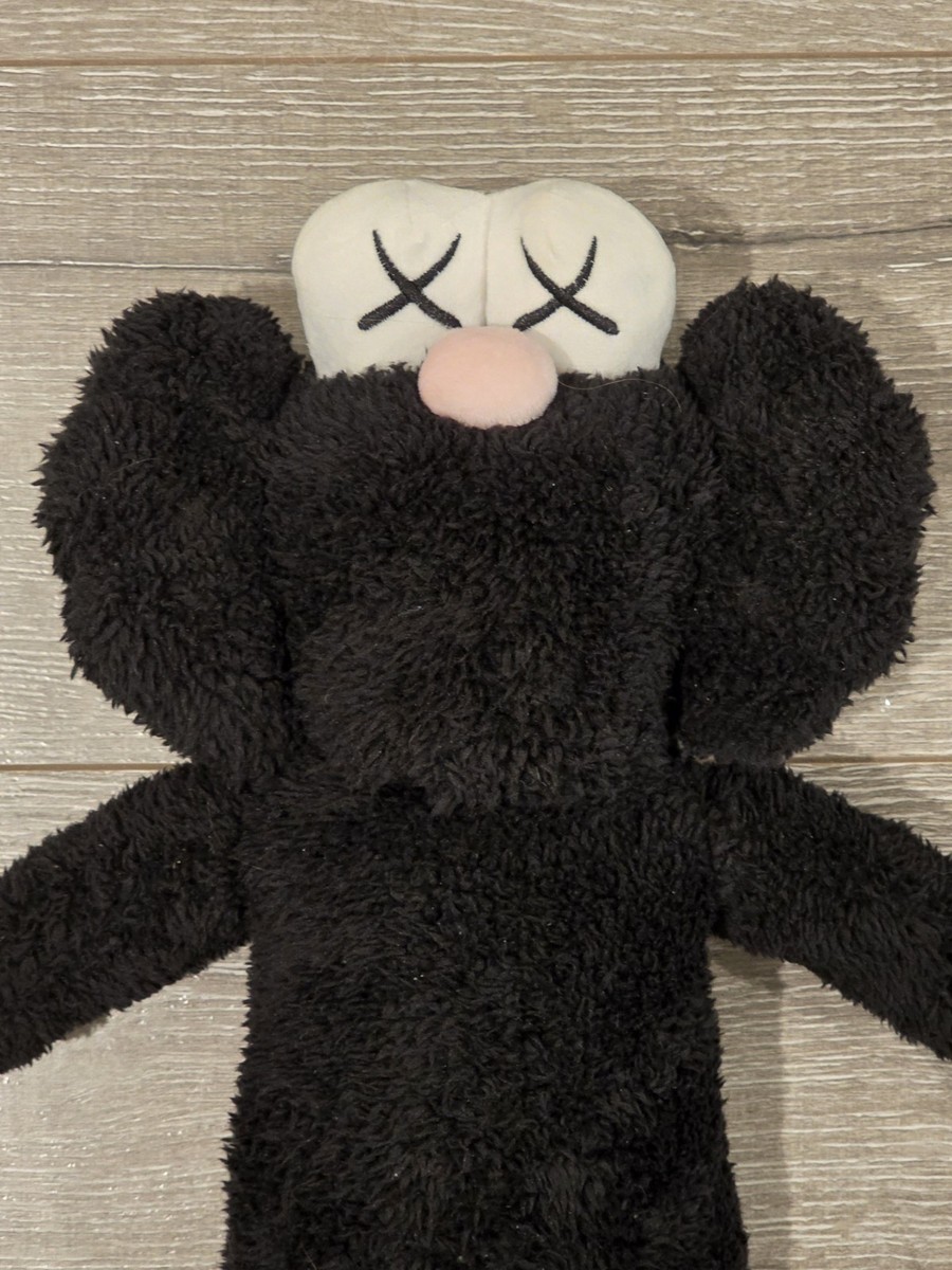 KAWS BFF 20