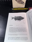 Possible Phareodus Fossil Fish Green River Formation Wyoming w/ Quarry Docs — photo 2