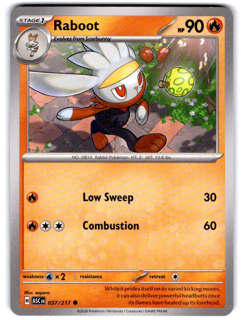 Raboot Common ME: Ascended Heroes 037/217 NM