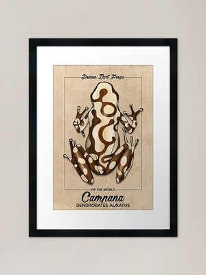 Auratus Campana poison dart frog Fr Framed Wall Art Poster Canvas Print Picture