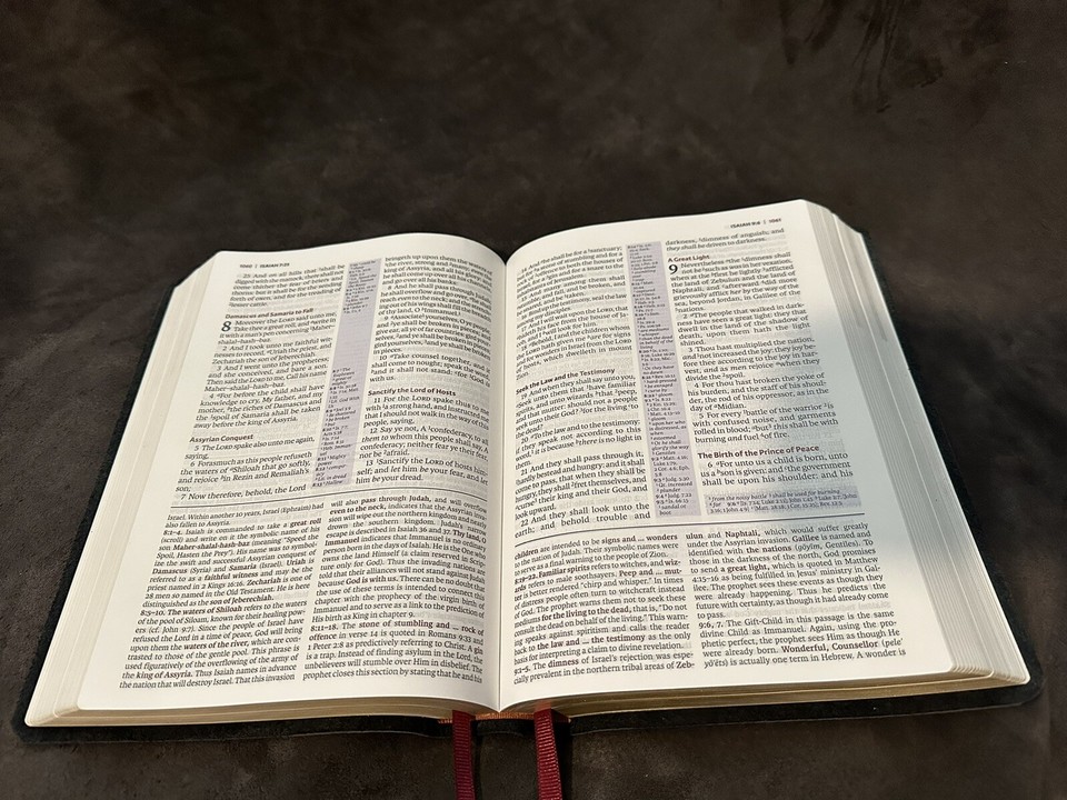 KJV KING JAMES study bible genuine leather | eBay