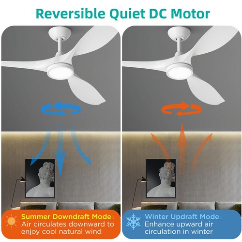 Roomratv Ceiling Fans with Lights,Large Airflow 52inch Modern Ceiling Fan wit... - Picture 5 of 9