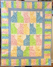 Handmade Pastel Blue Trimmed Butterfly Kitty Cat Quilt Throw CAT RESCUE