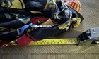 Harry Potter Hogwarts house crest infinity scarf — photo 3