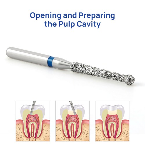 5Pcs Dental Diamond Burs Endo Access Bur Open Preparing Pulp Cavity Bur Hot Sale - Picture 34 of 47