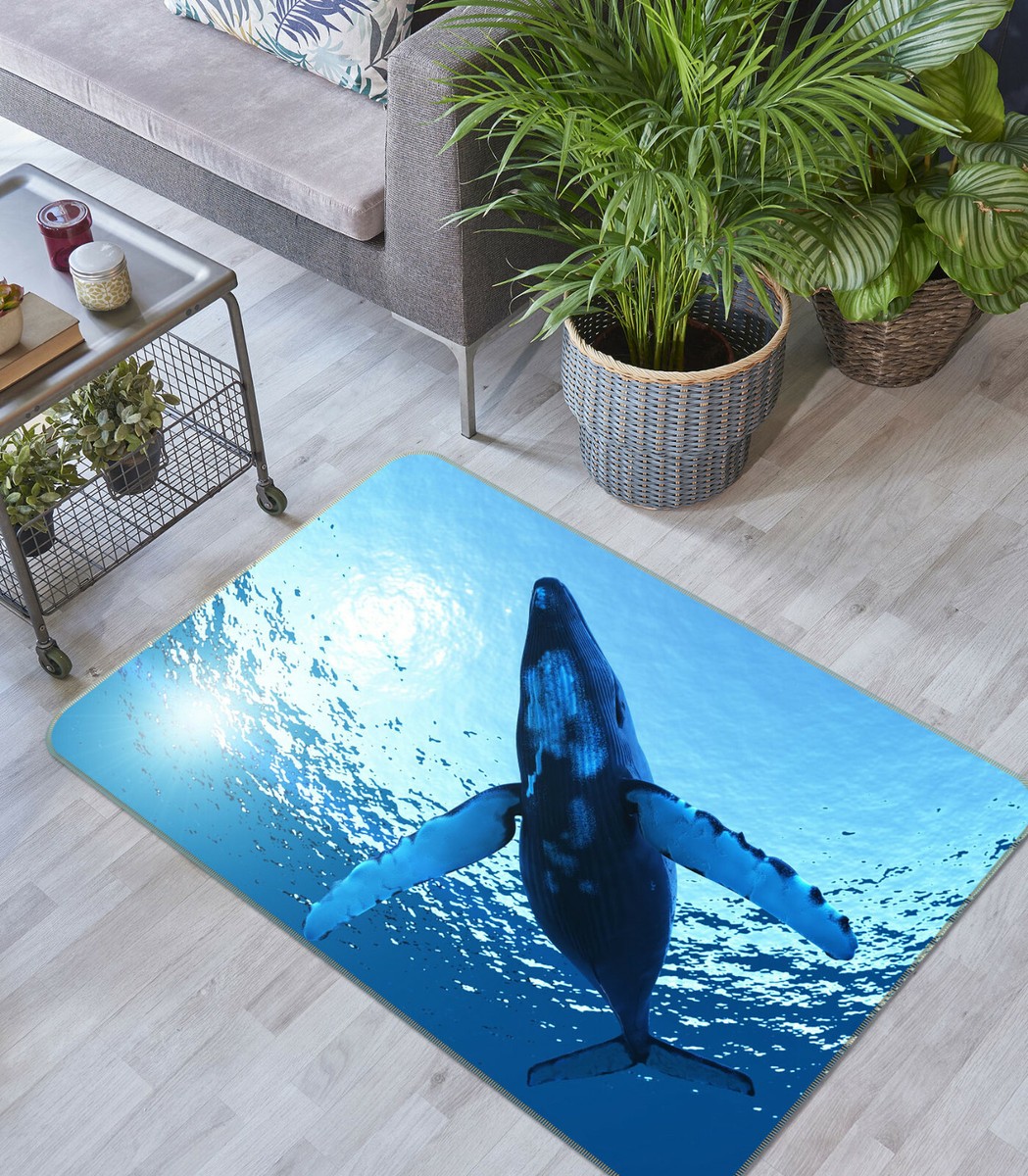 3D Killer Whale B177 Animal Non Slip Rug Mat Elegant Photo Carpet Zoe