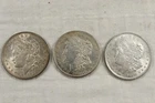 NobleSpirit (TSC) Desirable  3x 1921 Morgan Silver Dollar Lot Mixed Cond. Lot