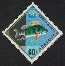 SALE CA443 Mongolia Eurasian Perch Fish 1974 MNH SG#879