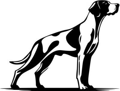  ENGLISH POINTER Aufkleber Autoaufkleber Folienaufkleber Silhouette #57