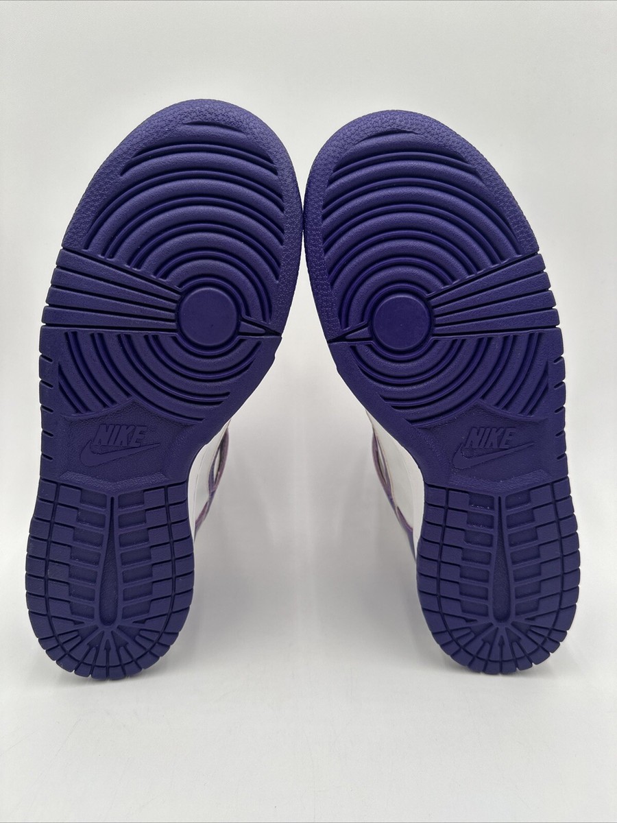Nike Dunk High Le Purple 1999 Size 9.5 Brand New 630335-151