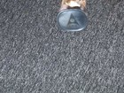 Picture 6 of 6