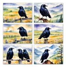 6 Assorted All Occasion Note Cards Blank Greeting Cards Ravens Blackbird Crow