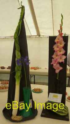 Foto 6x4 Zwei Einträge in der eine Blumen- und eine Gemüseklasse Der 65. Jh.2013