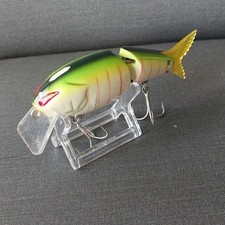 Rare item "Hirak H100 Pearl Tiger (Nories)"