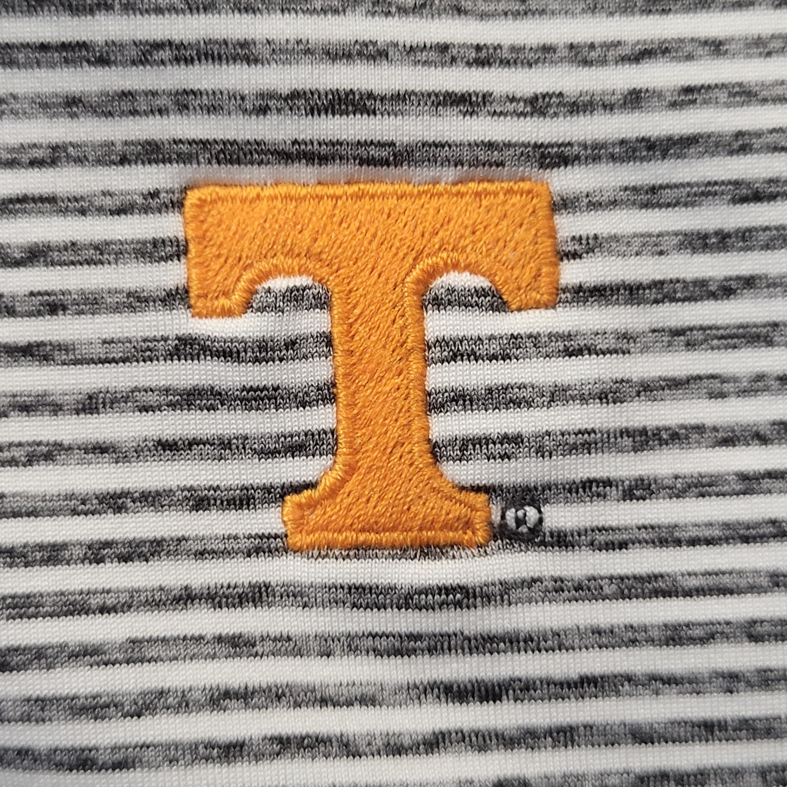 Picture 10 of 11