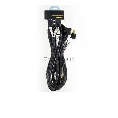 IPF Scheinwerfer Kabelbaum 12V Dual-Lampe H4 High Wattage Oldtimer Sonderanfe...