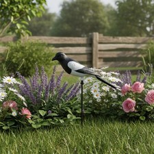 Fake Magpie Waterproof Outdoor Bird Prop Plastic for Orchard