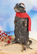 Airplane Pilot Mouse Taxidermy Oddities Curiosity Aviator collectible decor gif