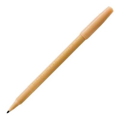 Pentel Lot/2 Arts Color Pen Marker Fiber Tip Fine Beige/Tan School Office Home