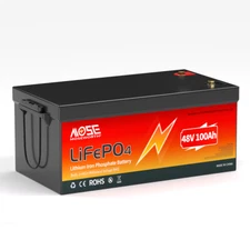12V 24V 36V 48V 60Ah 100Ah 200Ah 300Ah LiFePO4 Lithium Battery BMS Boat Off-grid