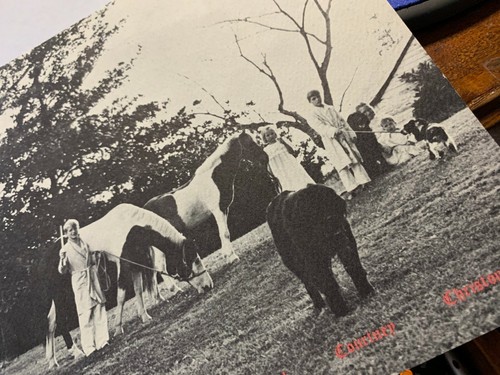 Bobby (Robert) KENNEDY Christmas Card 1965 Ethel and Family - Picture 2 of 7