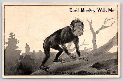 Animal~Cartoon~Don't Monkey With Me~Fallen Tree~Schmidt Bros 1911 Postcard