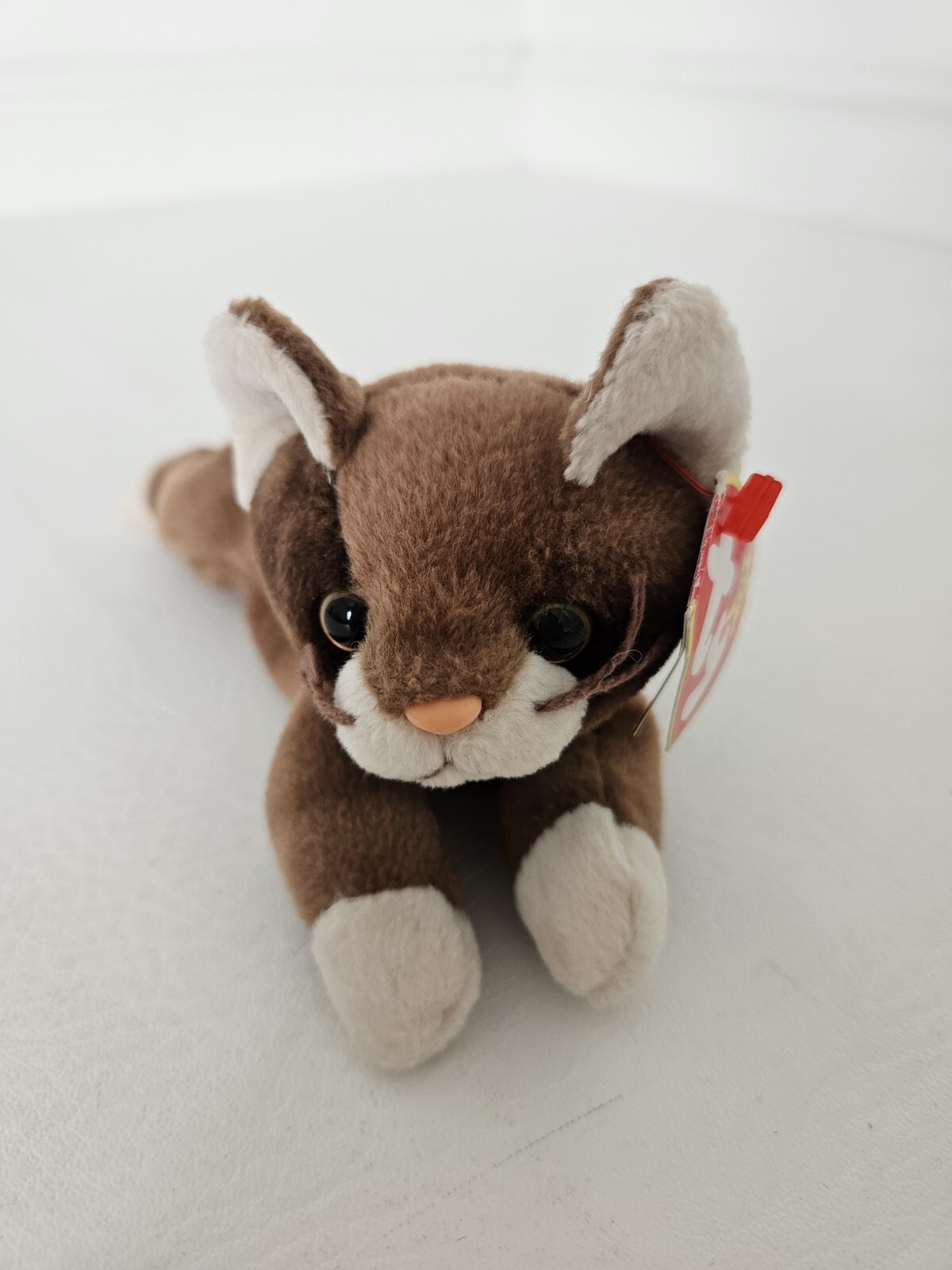 TY Beanie Babies “Pounce” The Cat 1997 Beanie Brown Cat Teddy