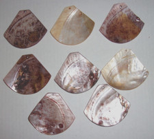 LOT OF 8 PRE DRILLED MOTHER OF PEARL LARGE PENDANTS AVERAGE SIZE 8.5MM X 7.5MM