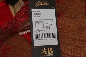 BNWT Dita Von Teese Lavinia G-String Thong MSRP $50!!