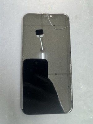 OEM Apple iPhone 11 Screen Replacement