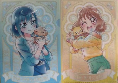 Delicious Party Precure Clear File Folder Cute Design Collectible Item