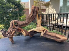 DRIFTWOOD MOPANI AQUARIUMS FISH REPTILES ART PET SUPPLIES GARDEN AQUASCAPING