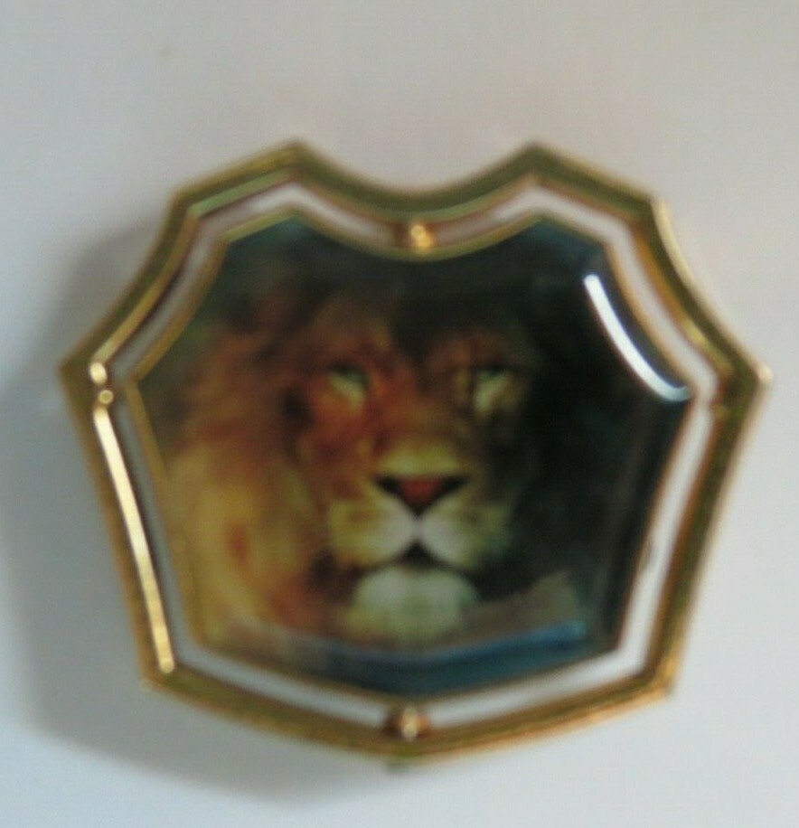 ナルニア国物語 ピン レア 希少 ワードロープ DISNEY WDW THE CHRONICLES OF NARNIA MOVIE LION WITCH & WARDROBE